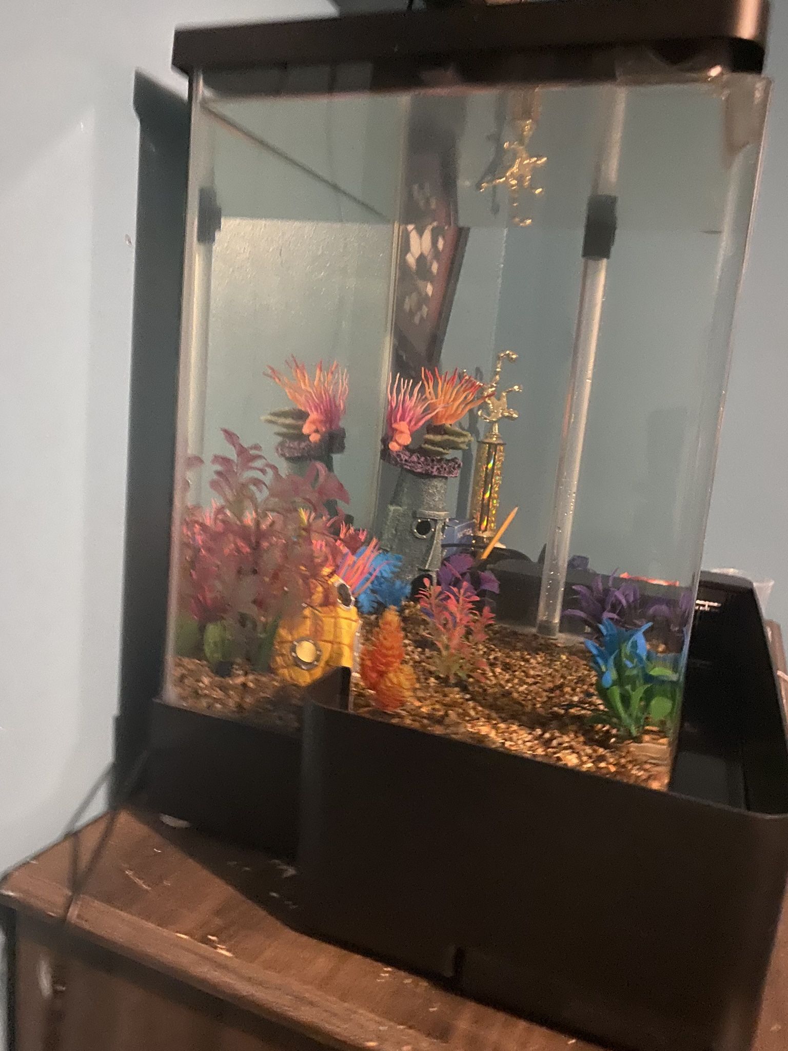 Fish tank