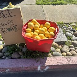 Free Grapefruits 