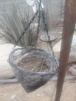 BIRDS NEST PLANT HANGER