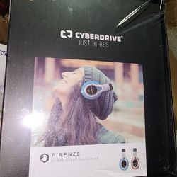 Security Cameras 