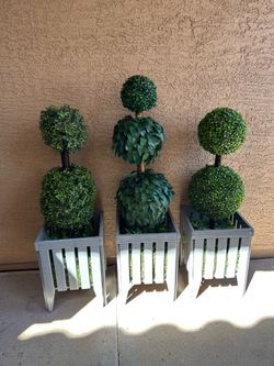 topiary plants in wood planters