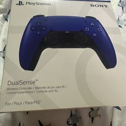 PS 5 Controller 