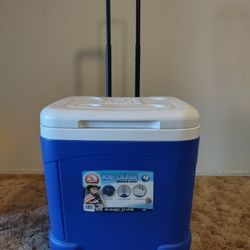Igloo Cooler