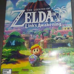 The Lgend Of Zelda Links Awakening 