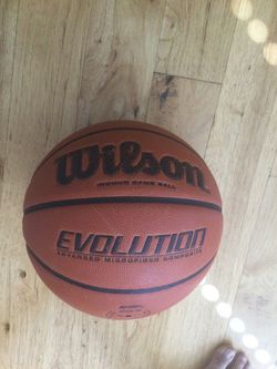 Wilson Evolution Ball (Size 7)
