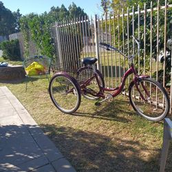 Meridian Schwin 3wheeler Bicycle