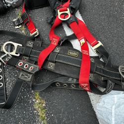 Safety Harness 
