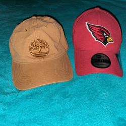 Cardinals/Timberland Cap