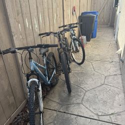 3 Adult Bicycles - $50
