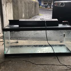 Fish Tank With Accessories 