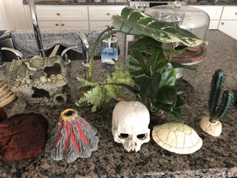 Aquarium Decorations