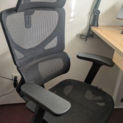 OdinLake L1 (Ergo UPGRADE 518) | Ergonomic Office Chair