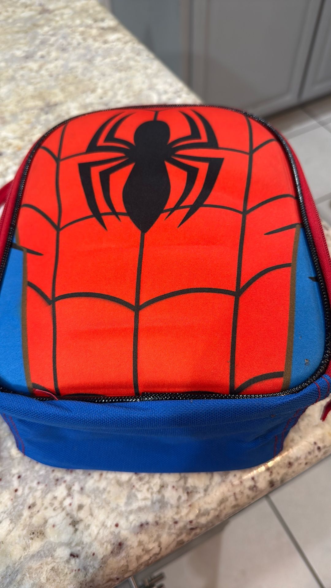 Spiderman Lunch Box