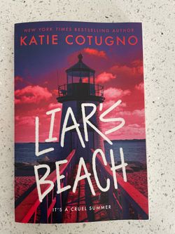 Liars beach book