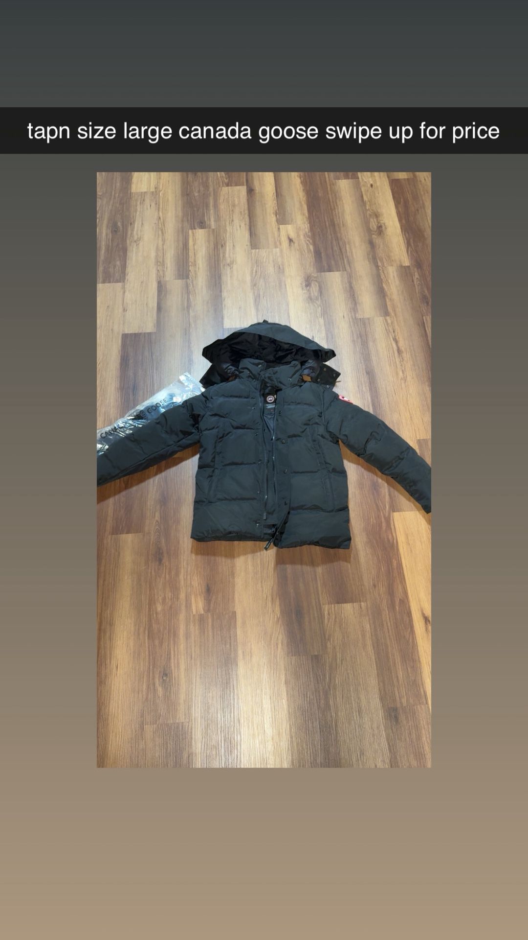 Canada Goose Wyndham parka  