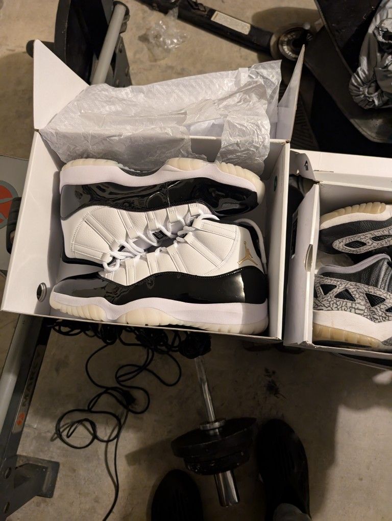 Jordans Gratitude