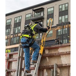 Ladder safety rails