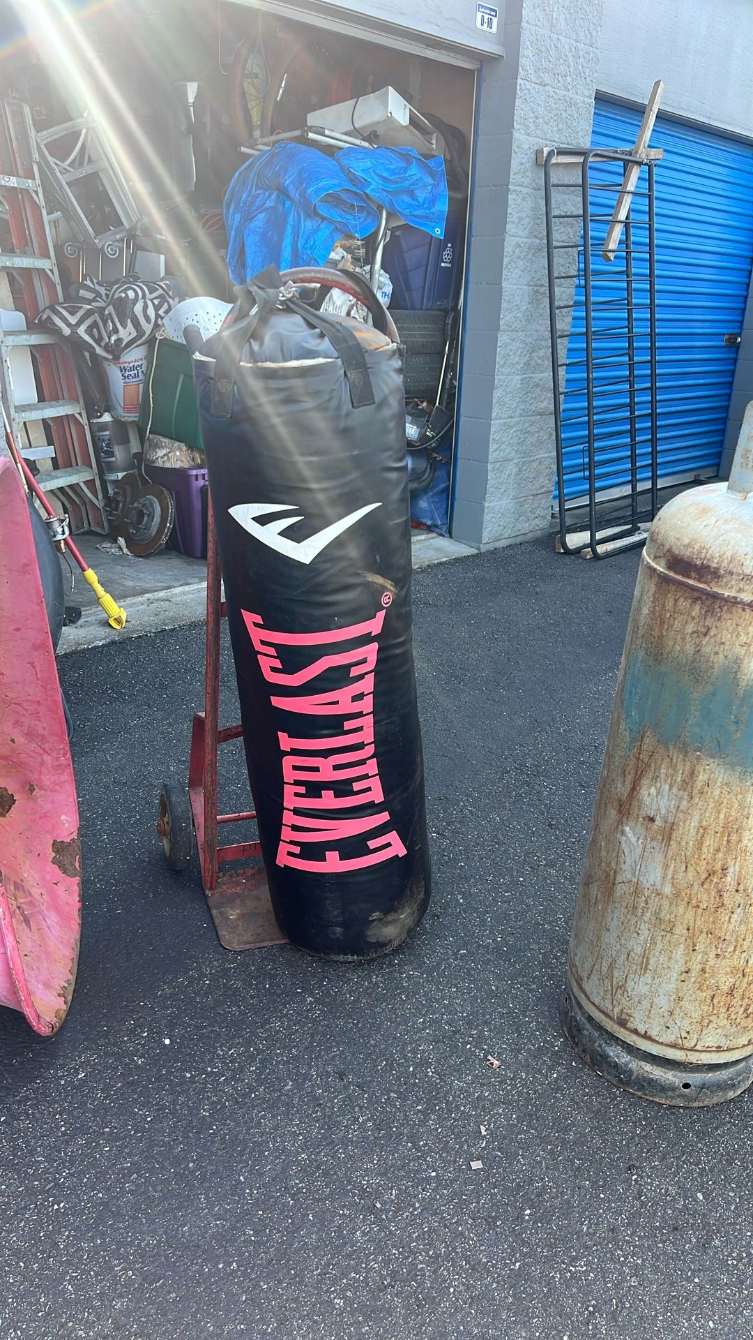 Everlast 100lb Punching Bag