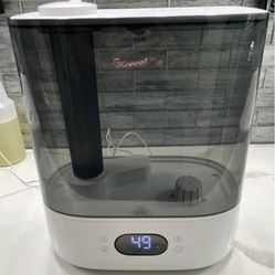 Govee Humidifier 