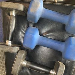 8lb And 5lb Dumbbells 