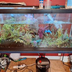 75 Gallon Fish Tank Everything Included!