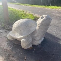 Concrete Turtle