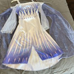 Disney Frozen II - Elsa Costume - $15