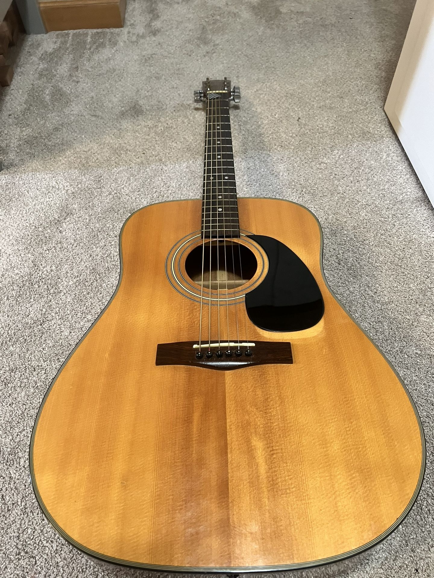 Fender Full Size Acoustic
