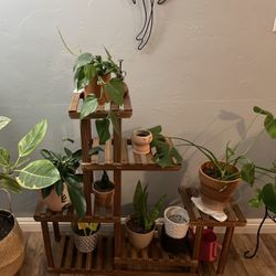 Plant Stand $40
