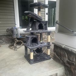 Cat Tree