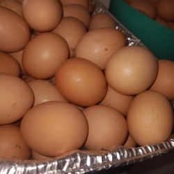 Fresh Organic Eggs 🥚 For Sale. Special Sale Price.