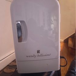 Mini Fridge 