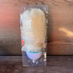 LARGE video & Photography Light Bulb ( LARGE) 