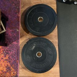 Two 45lb Olympic Weights 