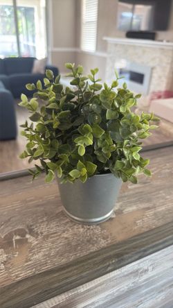 Faux Eucalyptus Plant in Gray Pot