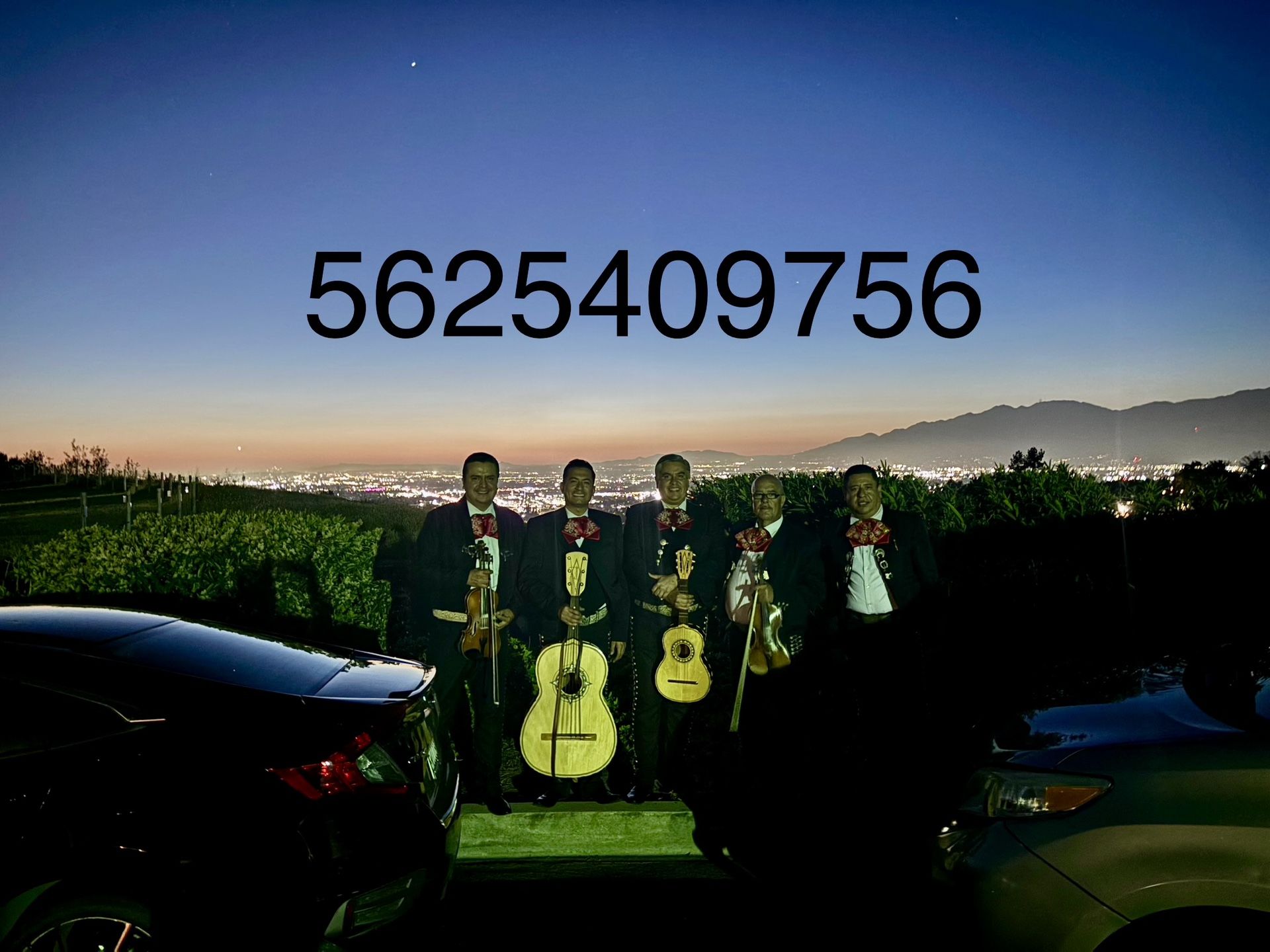Vihuela De Mariachi