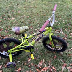12” Wheel Ninja Turtle Kids Bike