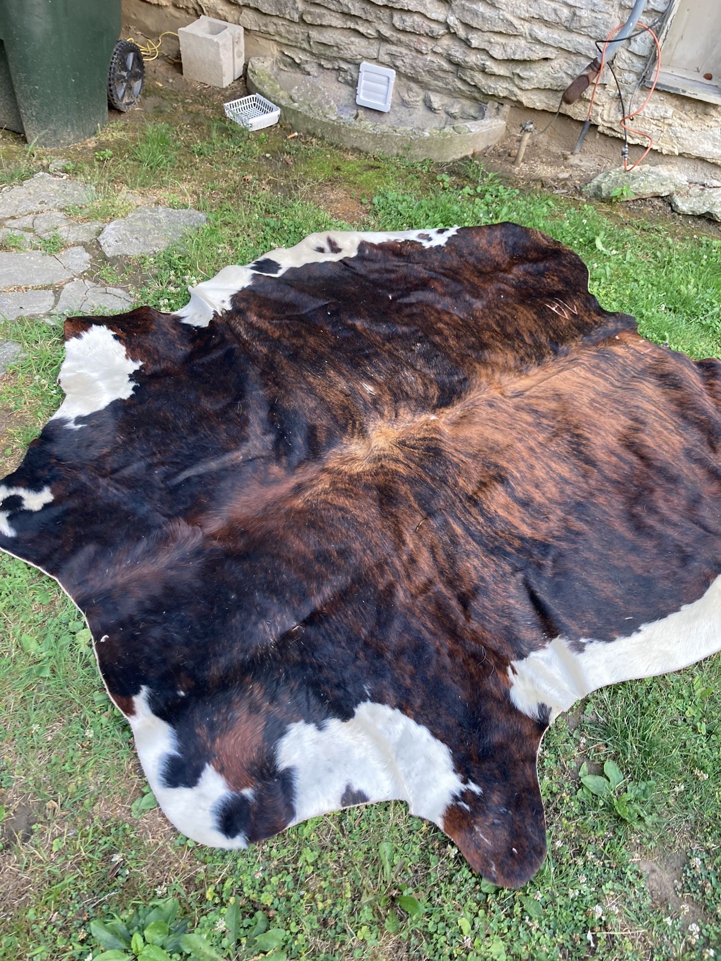 Real Cow Hide