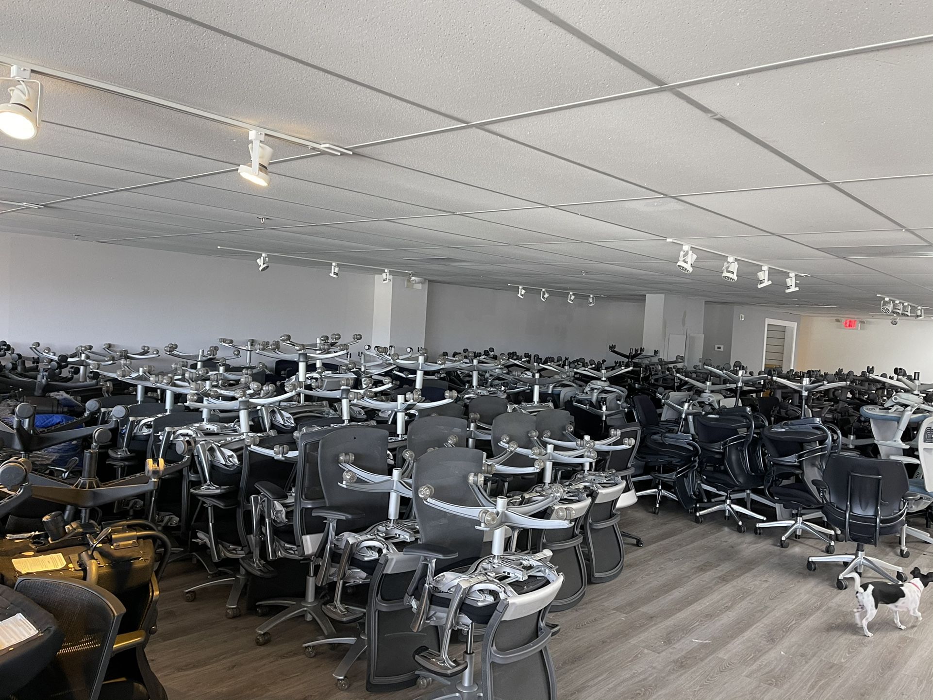 Office Chair Sale Herman Miller Aeron $450 And Up Steelcase Think Chair $200 Knoll Regeneration $295 Our Prices Are The Lowest On Top Brand Chairs