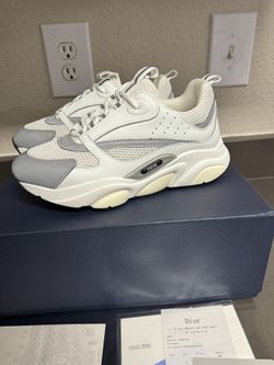 Dior B22 