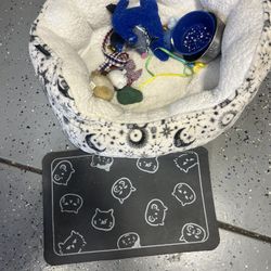 Free cat items