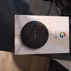 Google Nest Mini