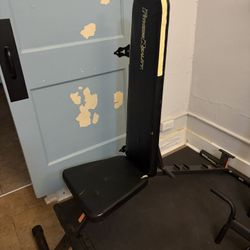 WEIGHT TRAINING BENCH 