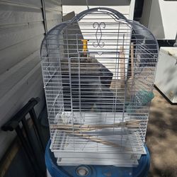 Bird Cage