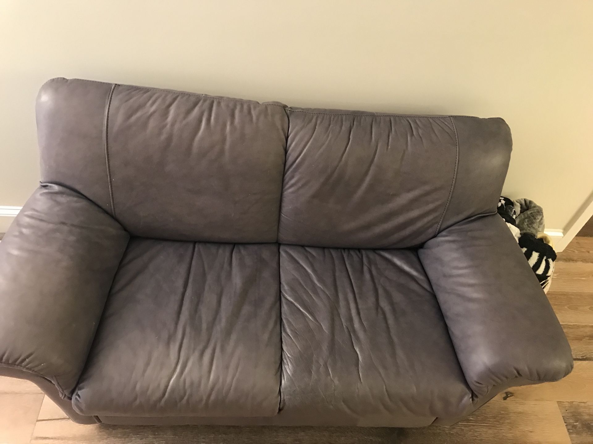 Leather Grey Couch