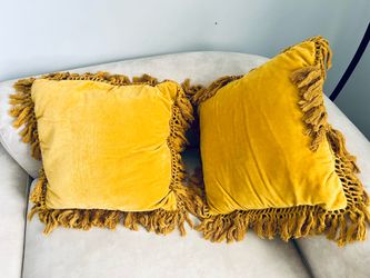 Pillows Velvet 2 pcs.   Size- 18”x18”.  Perfect condition.