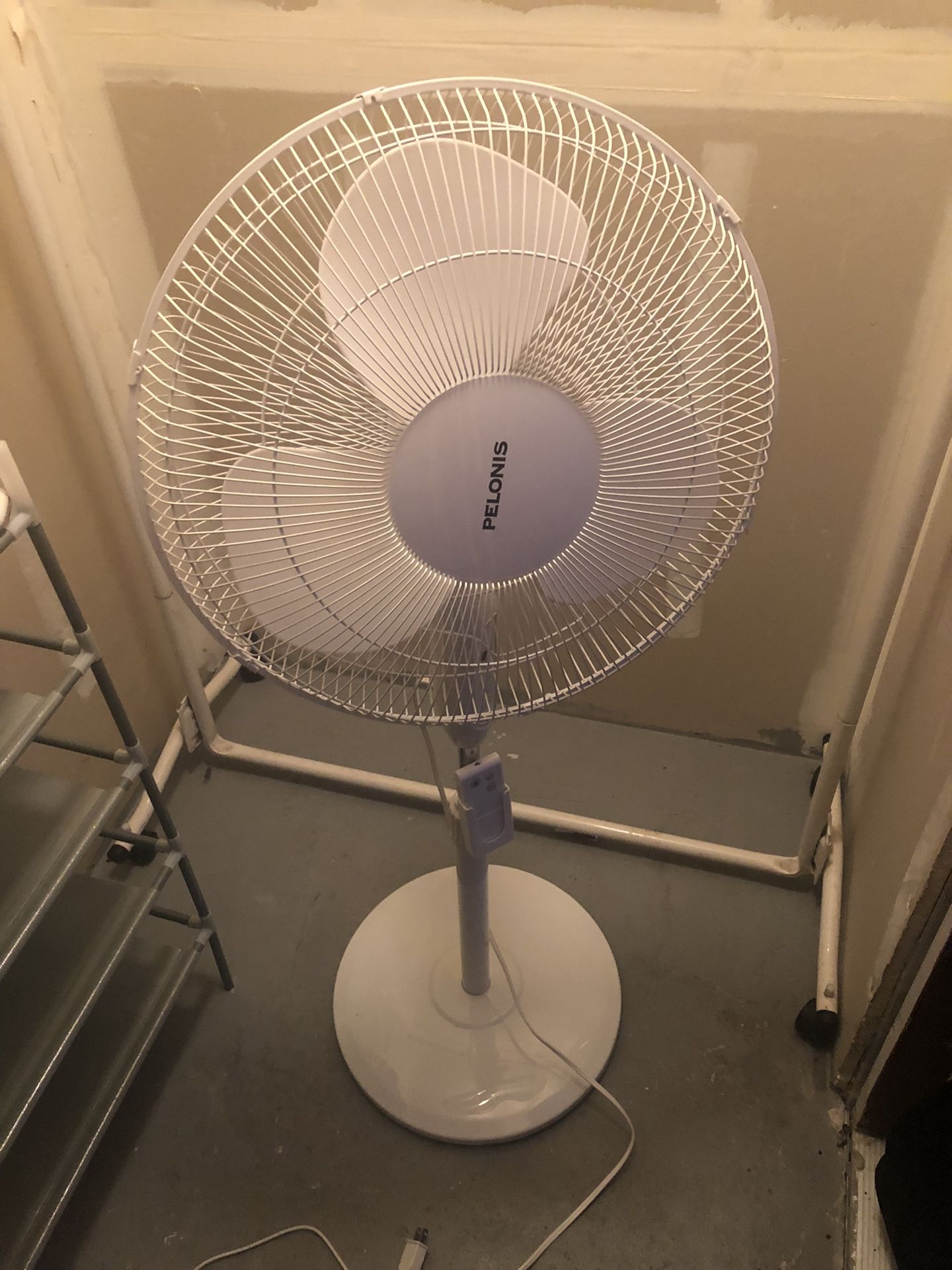 Fan