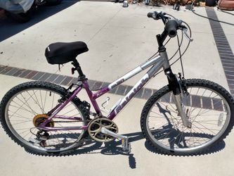 Just Tuned Up Raleigh M20