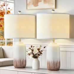 Ceramic Table Lamps Set of 2