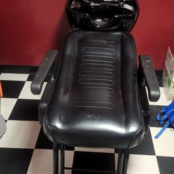 Salon Chairs 